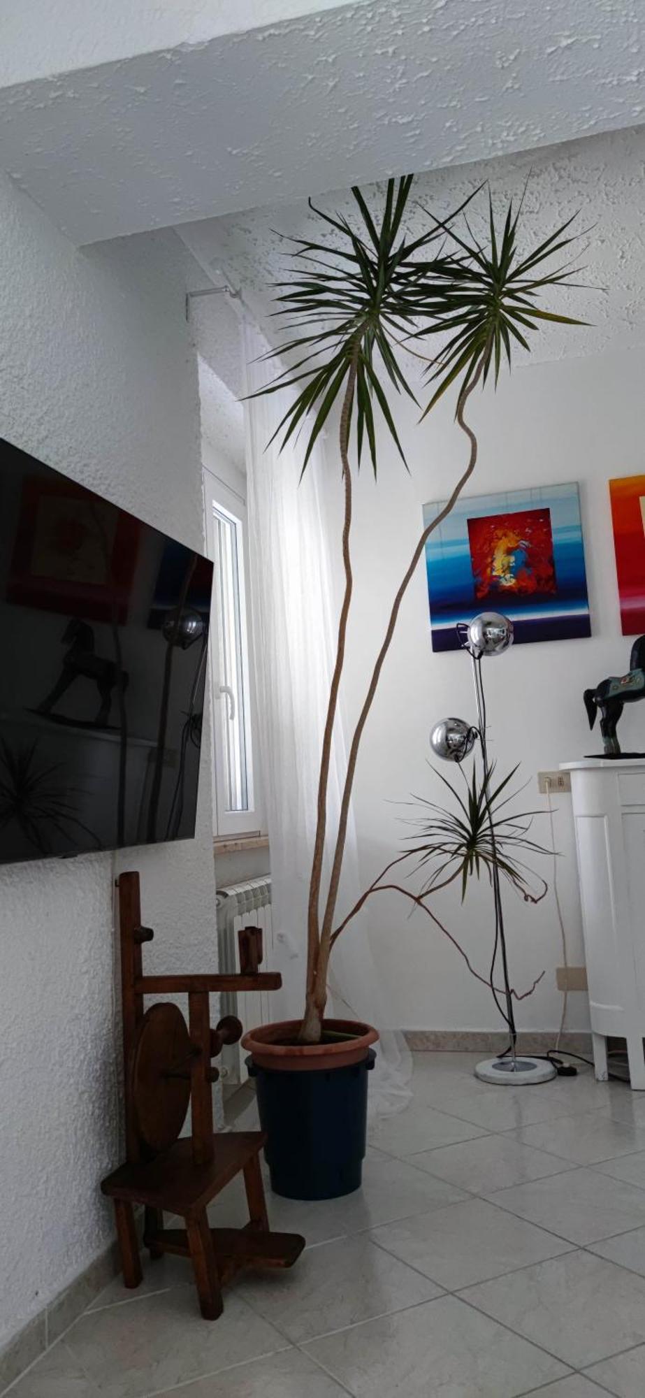 Residenza Bertolini Apartment Фосдиново Екстериор снимка